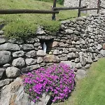 Jarica
