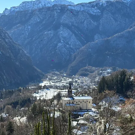 Jarica